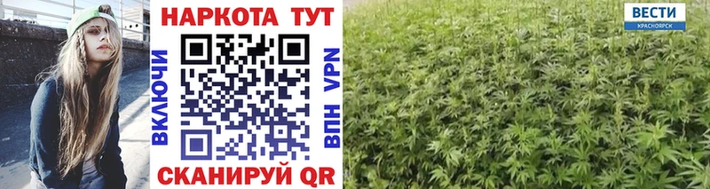 Виды наркоты Алзамай А ПВП  ГАШИШ  МАРИХУАНА  Галлюциногенные грибы  COCAIN 