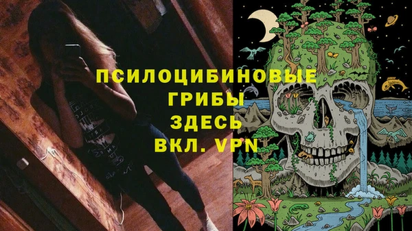 гидропоника Алексеевка