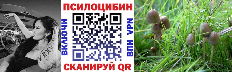 kraken ссылки  Алзамай  Псилоцибиновые грибы прущие грибы 